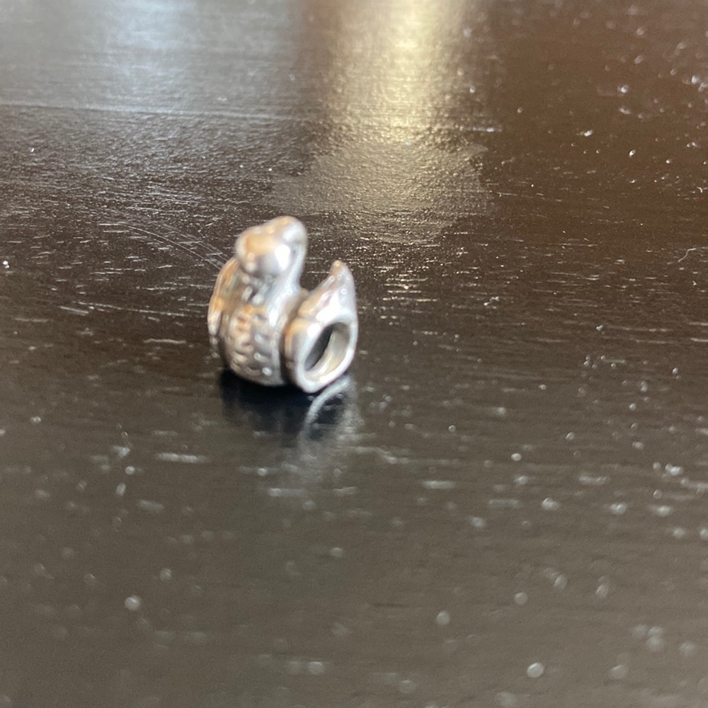 Authentic Pandora charm chain not included